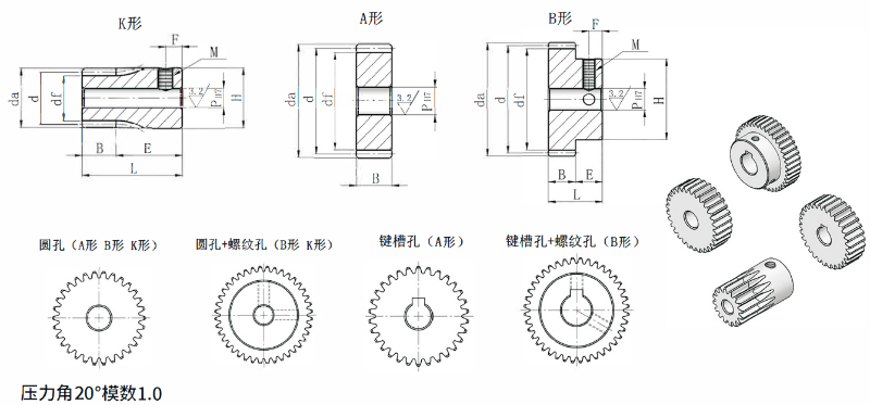 齿轮